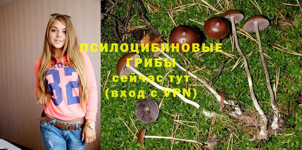 амф Арсеньев