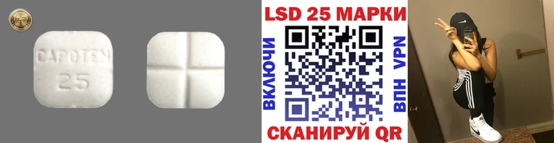 сколько стоит  MEGA рабочий сайт  LSD-25 экстази ecstasy  Устюжна 