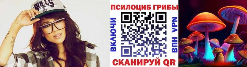 хочу   Устюжна  Галлюциногенные грибы Psilocybe 